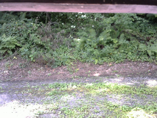 長野県菅平高原 ゆたか山荘 南側 2025/08/05 09:00