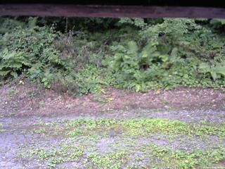 長野県菅平高原 ゆたか山荘 南側 2025/08/05 09:30