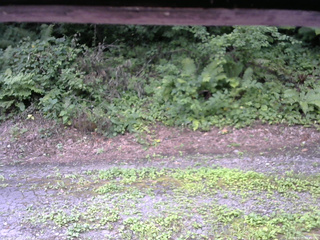 長野県菅平高原 ゆたか山荘 南側 2025/08/05 09:45