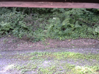 長野県菅平高原 ゆたか山荘 南側 2025/08/05 10:00