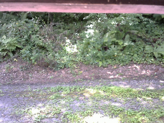 長野県菅平高原 ゆたか山荘 南側 2025/08/05 10:15