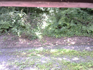 長野県菅平高原 ゆたか山荘 南側 2025/08/05 10:30