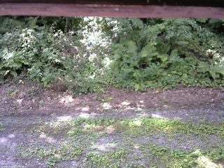 長野県菅平高原 ゆたか山荘 南側 2025/08/05 10:45