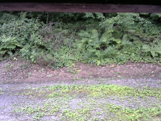 長野県菅平高原 ゆたか山荘 南側 2025/08/05 11:00