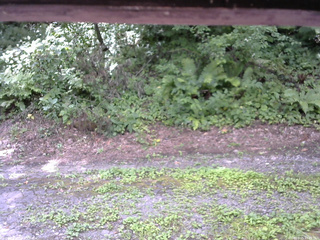 長野県菅平高原 ゆたか山荘 南側 2025/08/05 11:15