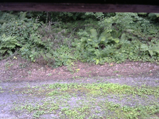 長野県菅平高原 ゆたか山荘 南側 2025/08/05 11:45