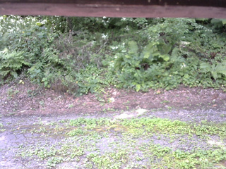 長野県菅平高原 ゆたか山荘 南側 2025/08/05 12:00