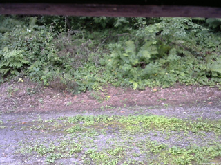 長野県菅平高原 ゆたか山荘 南側 2025/08/05 12:30