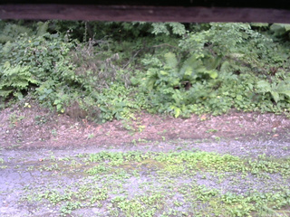 長野県菅平高原 ゆたか山荘 南側 2025/08/05 12:45