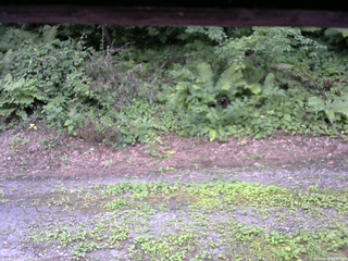 長野県菅平高原 ゆたか山荘 南側 2025/08/05 13:00