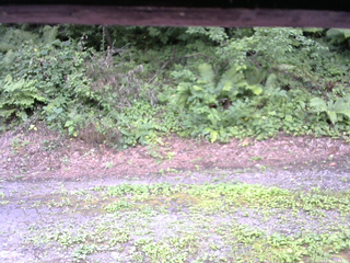 長野県菅平高原 ゆたか山荘 南側 2025/08/05 13:15