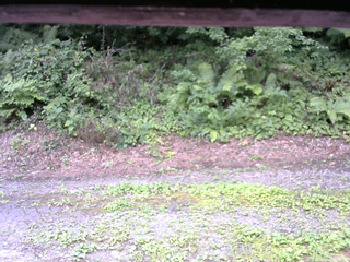 長野県菅平高原 ゆたか山荘 南側 2025/08/05 13:45