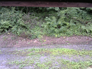 長野県菅平高原 ゆたか山荘 南側 2025/08/05 14:00