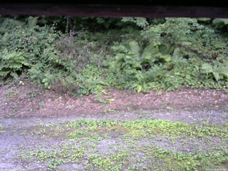 長野県菅平高原 ゆたか山荘 南側 2025/08/05 14:15