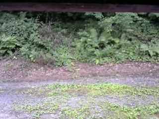 長野県菅平高原 ゆたか山荘 南側 2025/08/05 14:30