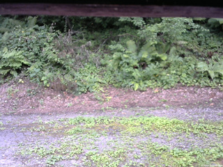 長野県菅平高原 ゆたか山荘 南側 2025/08/05 14:45