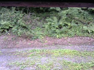 長野県菅平高原 ゆたか山荘 南側 2025/08/05 15:00