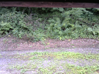 長野県菅平高原 ゆたか山荘 南側 2025/08/05 15:15