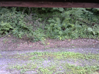 長野県菅平高原 ゆたか山荘 南側 2025/08/05 15:30