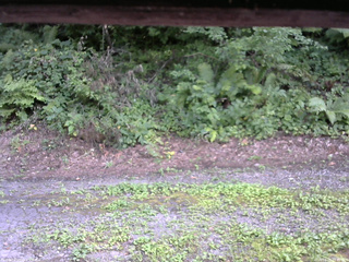 長野県菅平高原 ゆたか山荘 南側 2025/08/05 15:45