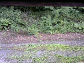 長野県菅平高原 ゆたか山荘 南側 2025/08/05 16:00