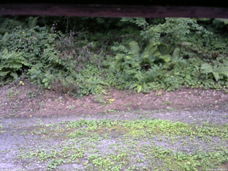 長野県菅平高原 ゆたか山荘 南側 2025/08/05 16:30