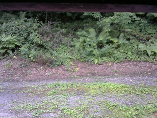 長野県菅平高原 ゆたか山荘 南側 2025/08/05 16:45