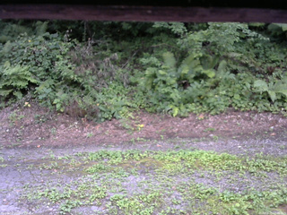 長野県菅平高原 ゆたか山荘 南側 2025/08/05 17:00