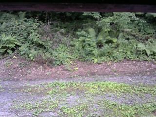 長野県菅平高原 ゆたか山荘 南側 2025/08/05 17:15