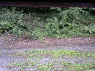 長野県菅平高原 ゆたか山荘 南側 2025/08/05 17:30