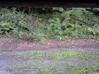 長野県菅平高原 ゆたか山荘 南側 2025/08/05 17:45