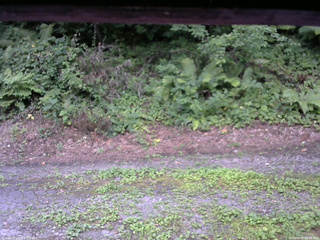 長野県菅平高原 ゆたか山荘 南側 2025/08/05 18:15