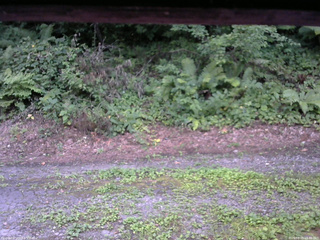 長野県菅平高原 ゆたか山荘 南側 2025/08/05 18:30