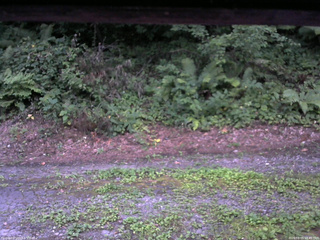 長野県菅平高原 ゆたか山荘 南側 2025/08/05 18:45