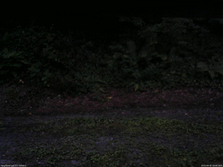 長野県菅平高原 ゆたか山荘 南側 2025/08/05 19:00