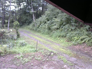 長野県菅平高原 ゆたか山荘 東側(坂下) 2025/08/05 07:15