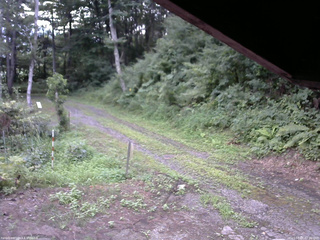 長野県菅平高原 ゆたか山荘 東側(坂下) 2025/08/05 07:30