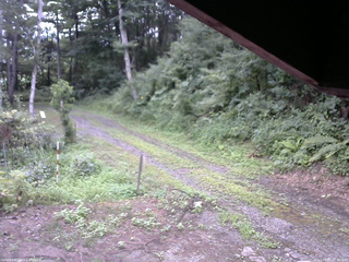 長野県菅平高原 ゆたか山荘 東側(坂下) 2025/08/05 07:45