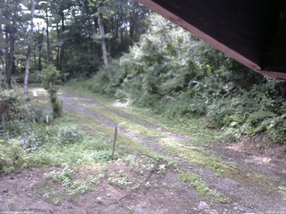 長野県菅平高原 ゆたか山荘 東側(坂下) 2025/08/05 08:00