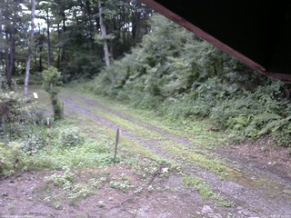 長野県菅平高原 ゆたか山荘 東側(坂下) 2025/08/05 08:15