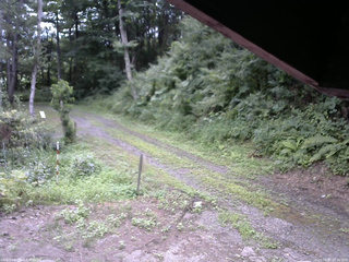 長野県菅平高原 ゆたか山荘 東側(坂下) 2025/08/05 09:30