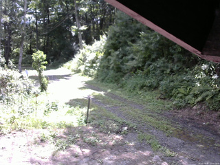 長野県菅平高原 ゆたか山荘 東側(坂下) 2025/08/05 10:45