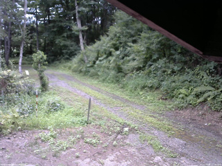 長野県菅平高原 ゆたか山荘 東側(坂下) 2025/08/05 11:00