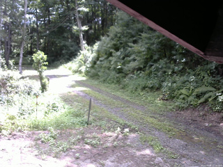長野県菅平高原 ゆたか山荘 東側(坂下) 2025/08/05 11:15