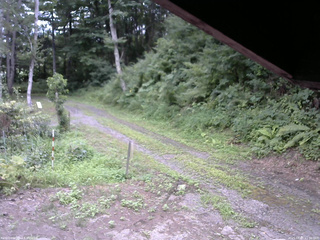 長野県菅平高原 ゆたか山荘 東側(坂下) 2025/08/05 11:30