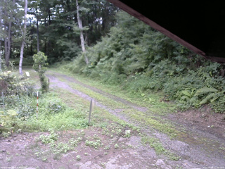 長野県菅平高原 ゆたか山荘 東側(坂下) 2025/08/05 11:45