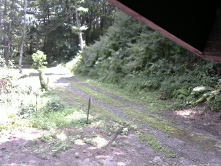長野県菅平高原 ゆたか山荘 東側(坂下) 2025/08/05 12:00