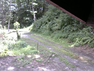 長野県菅平高原 ゆたか山荘 東側(坂下) 2025/08/05 12:15