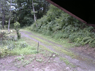 長野県菅平高原 ゆたか山荘 東側(坂下) 2025/08/05 12:30