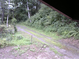 長野県菅平高原 ゆたか山荘 東側(坂下) 2025/08/05 13:00